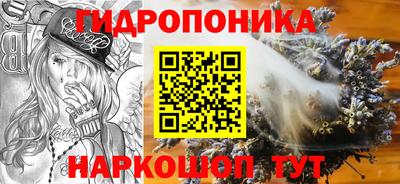 молекула духа Лесосибирск